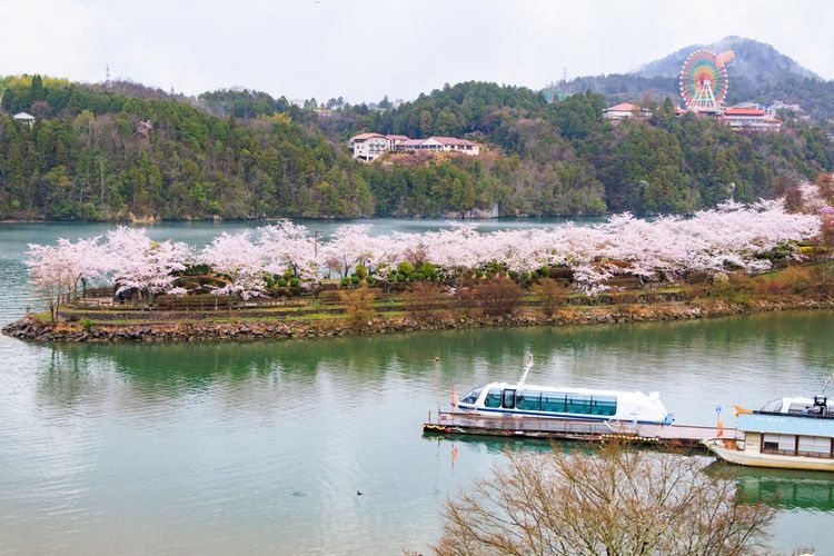 Tourist destination images of Enakyo Gorge(3)