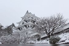 Tourist destination images of Gujo Hachiman Castle(4)