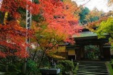 Tourist destination images of Ryokai-zan Yokuzouji Temple(3)