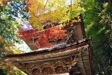 Tourist destination images of Ryokai-zan Yokuzouji Temple(5)