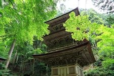 Tourist destination images of Ryokai-zan Yokuzouji Temple(6)