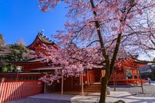 Tourist destination images of Fuji Sengen Shrine (Fuji-honmiya Asama Taisha)(1)