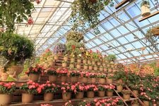 Tourist destination images of Fuji Flower and Bird Garden(1)