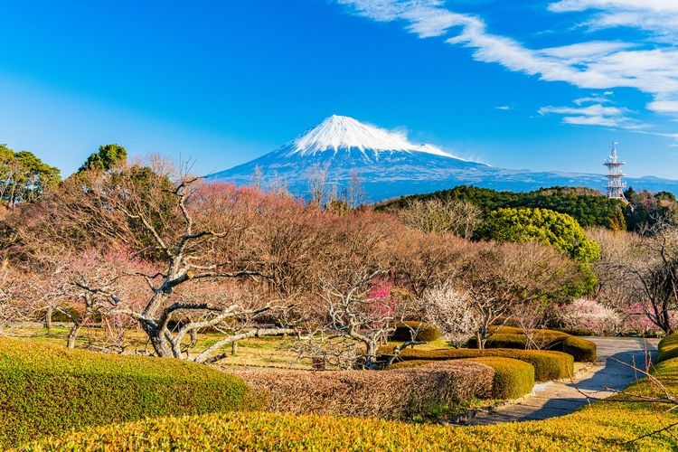 Iwamotoyama Park