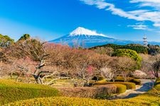 Tourist destination images of Iwamotoyama Park(1)