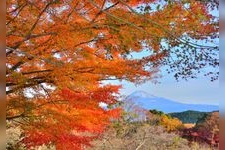 Tourist destination images of Iwamotoyama Park(4)
