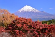 Tourist destination images of Iwamotoyama Park(2)