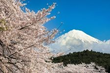 Tourist destination images of Iwamotoyama Park(2)