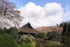 Tourist destination images of Chichibunomiya Memorial Park(2)