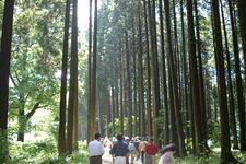 Tourist destination images of Chichibunomiya Memorial Park(3)