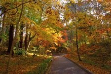 Tourist destination images of Chichibunomiya Memorial Park(4)