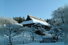 Tourist destination images of Chichibunomiya Memorial Park(6)