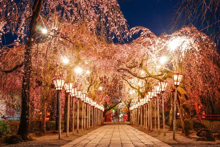 Mishima Taisha Shrine