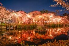 Tourist destination images of Mishima Taisha Shrine(3)