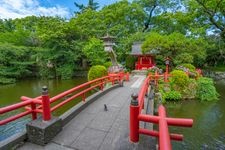 Tourist destination images of Mishima Taisha Shrine(5)