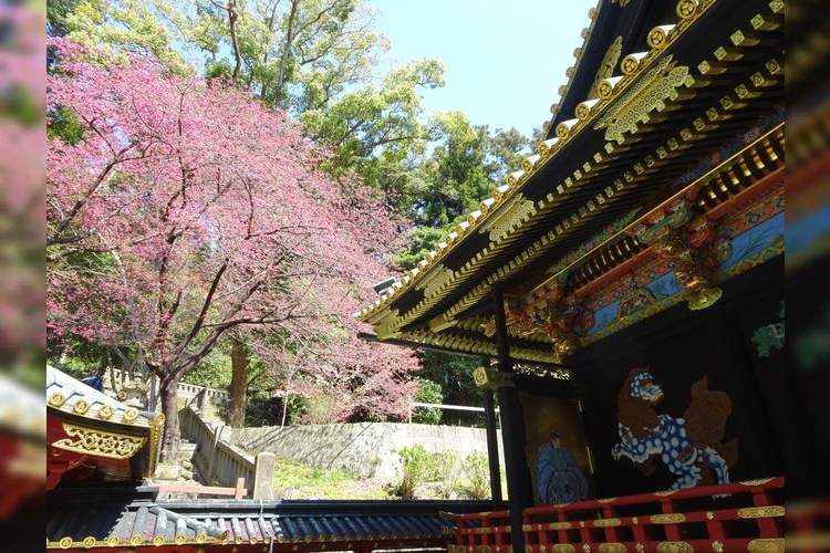 Kunohasan Toshogu Shrine