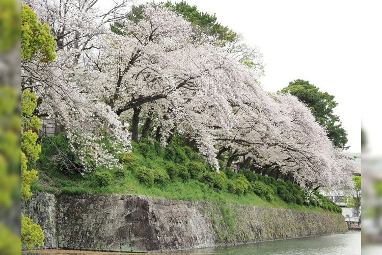 Sunpu Castle Park