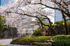 Tourist destination images of Sunpu Castle Park(4)