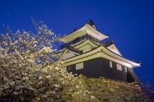 Tourist destination images of Hamamatsu Castle(1)