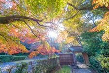 Tourist destination images of Hamamatsu Castle(3)