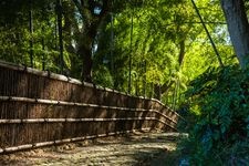 Tourist destination images of Hamamatsu Castle(4)