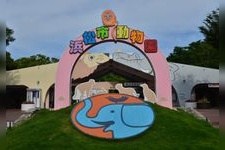 Tourist destination images of Hamamatsu City Zoo(3)