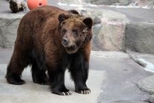 浜松市動物園的觀光地圖片(2)