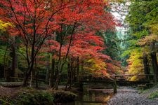 Tourist destination images of Okunijinja Shrine (Totomi Province's Ichinomiya)(3)