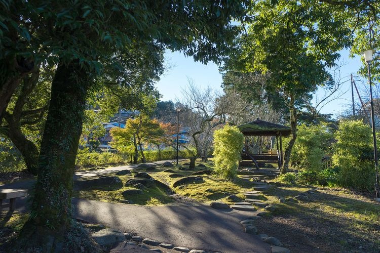 Shuzen-ji Temple