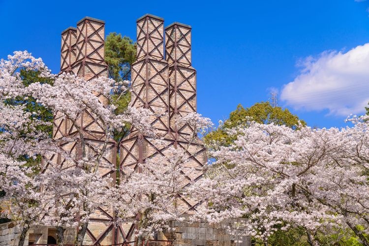 Nirayama Reverberatory Furnace