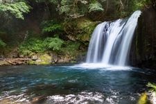 Tourist destination images of Kawazu Nanadaru (Seven Waterfalls)(1)