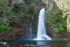 Tourist destination images of Kawazu Nanadaru (Seven Waterfalls)(3)