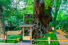 Tourist destination images of Komiya Jinja Shrine(2)