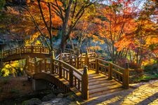Tourist destination images of Atami Ume-en (Atami Plum Garden)(2)