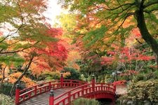 Tourist destination images of Atami Ume-en (Atami Plum Garden)(2)