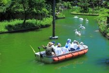 伊豆仙人掌動物公園的觀光地圖片(3)