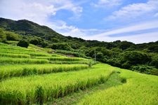 Tourist destination images of Ishibe Tanada (Rice Terraces)(1)