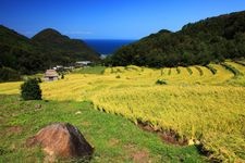 Tourist destination images of Ishibe Tanada (Rice Terraces)(3)