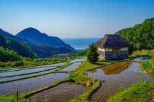 Tourist destination images of Ishibe Tanada (Rice Terraces)(4)