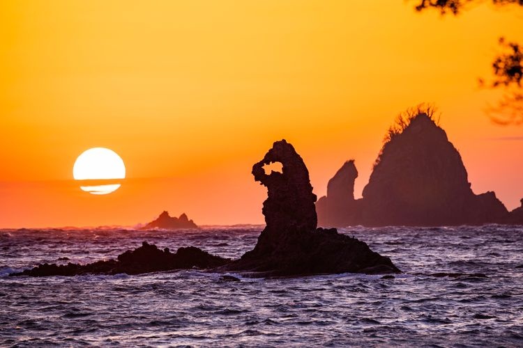 Tourist destination images of Otago Coast(2)
