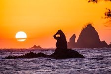 Tourist destination images of Otago Coast(2)