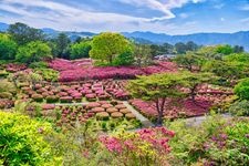 Tourist destination images of Komuroyama Park(3)