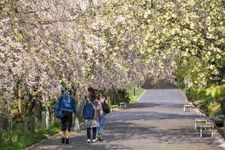 Tourist destination images of Nagoya Higashiyamazu Fruits Park(1)