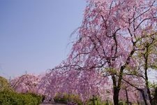 Tourist destination images of Nagoya Higashiyamazu Fruits Park(2)