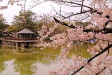 Tourist destination images of Tsuruma Park(1)