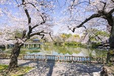 Tourist destination images of Tsuruma Park(5)