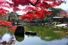 Tourist destination images of Tsuruma Park(7)