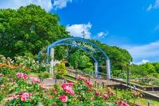 Tourist destination images of Higashiyama Sky Tower(6)