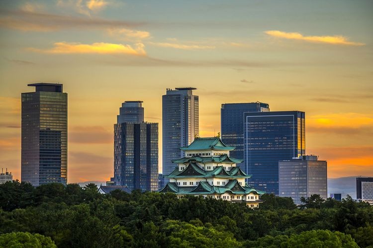 Nagoya Castle