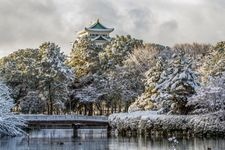 Tourist destination images of Nagoya Castle(2)